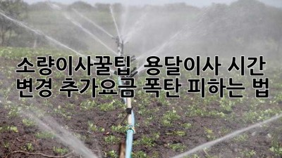 #소량이사꿀팁 ⏰ 용달이사 시간 변경? 추가요금 폭탄 피하는 법💣